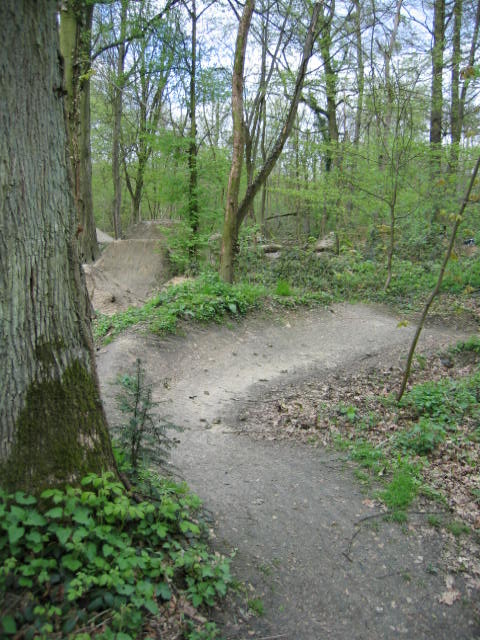 liteul trail