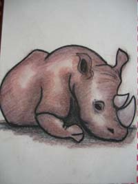 rhino